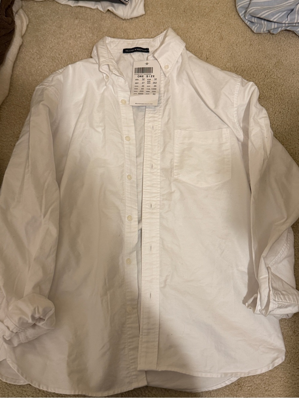 New Brandy Melville Classic White Button-Down Shirt